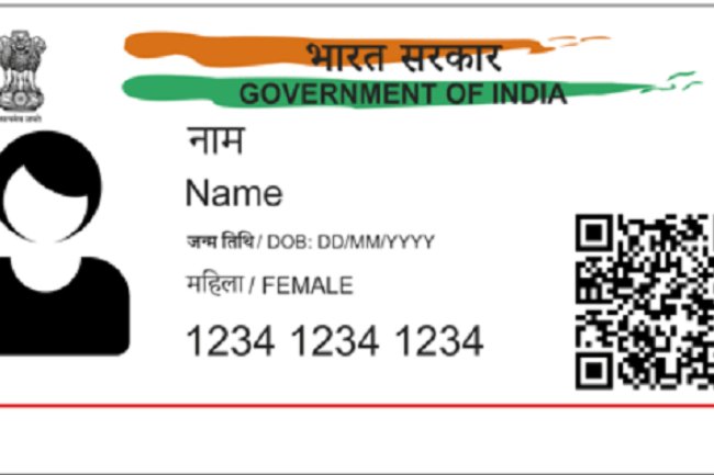 How to Download Your Aadhaar Card Using Name and Date of Birth