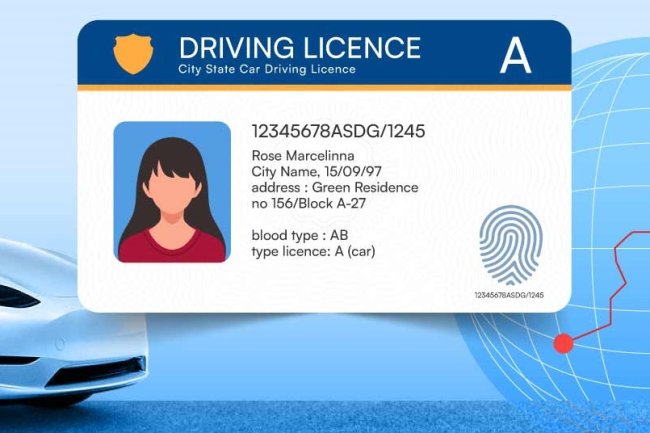 Everything You Need to Know About the International Driving Permit (IDP)