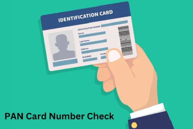 How to Check Your PAN Card Details Online: A Step-by-Step Guide