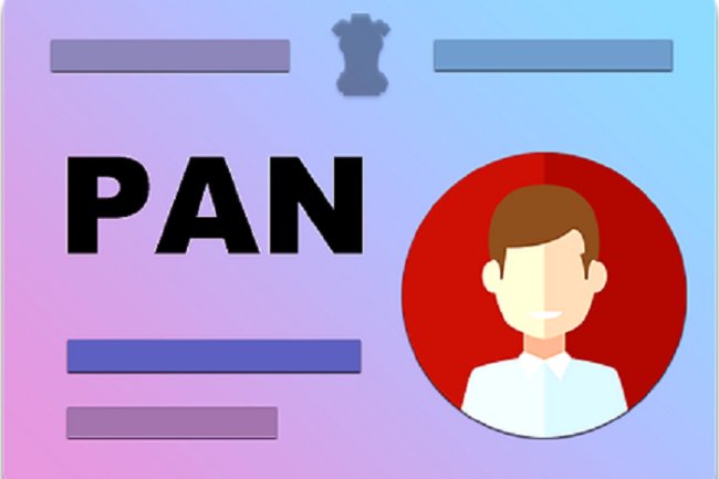 how to check the pan card details online