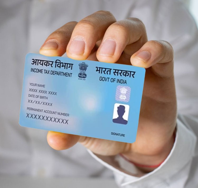 How to Find the PAN Card Number of a Company - A Step-by-Step Guide