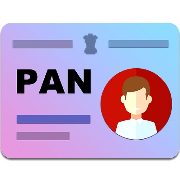 how to check the pan card details online