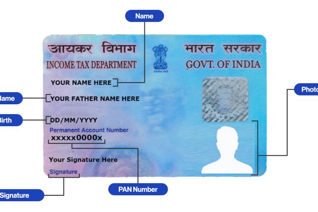 How to See Your PAN Card Details Online